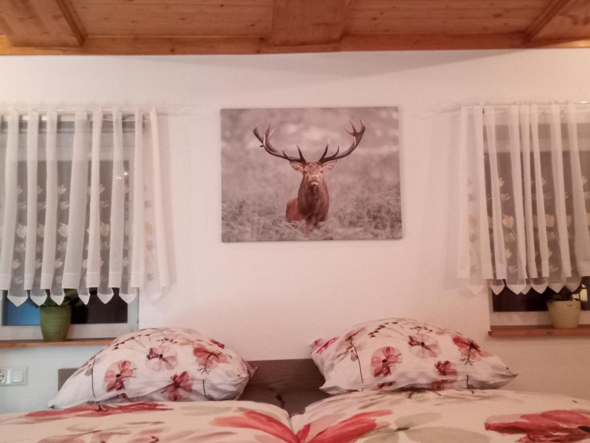 Ferienwohnung Zum Sebnitzer Hirsch Buitenkant foto