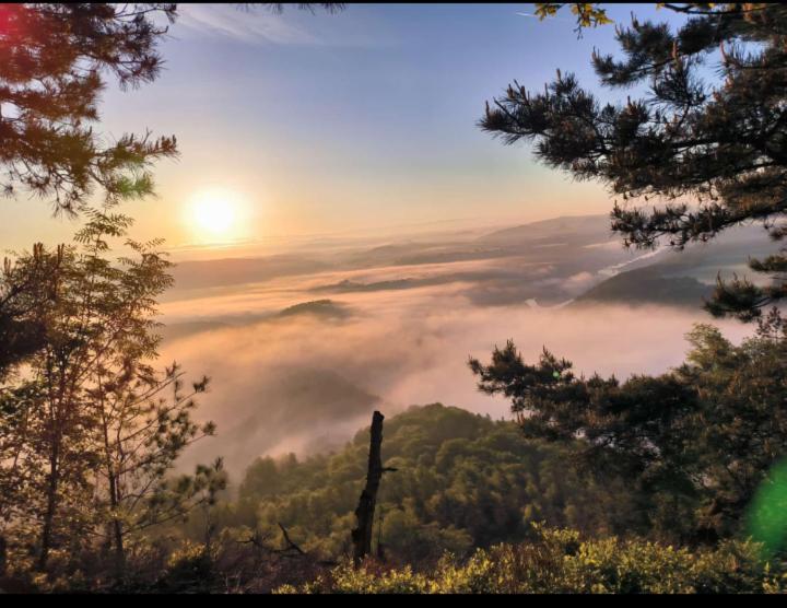 Ferienwohnung Zum Sebnitzer Hirsch Buitenkant foto